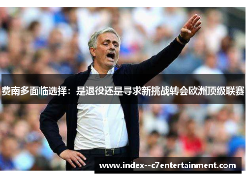 费南多面临选择:是退役还是寻求新挑战转会欧洲顶级联赛 费南多面临选择:是退役还是寻求新挑战转会欧洲顶级联赛
