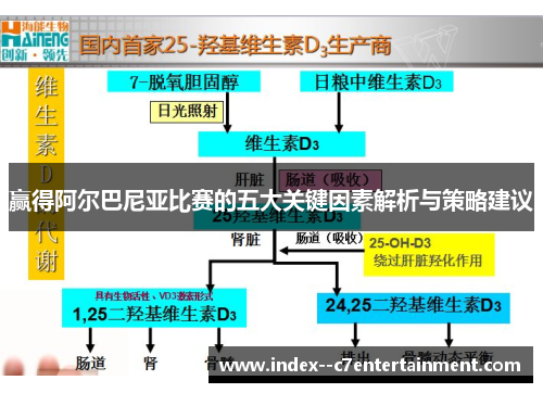 赢得阿尔巴尼亚比赛的五大关键因素解析与策略建议 赢得阿尔巴尼亚比赛的五大关键因素解析与策略建议
