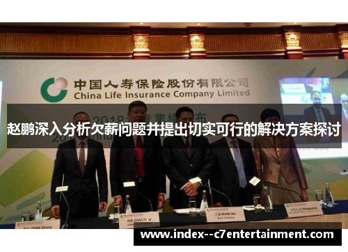 赵鹏深入分析欠薪问题并提出切实可行的解决方案探讨