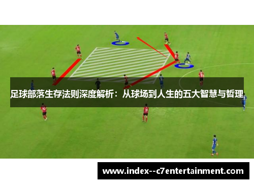 足球部落生存法则深度解析：从球场到人生的五大智慧与哲理
